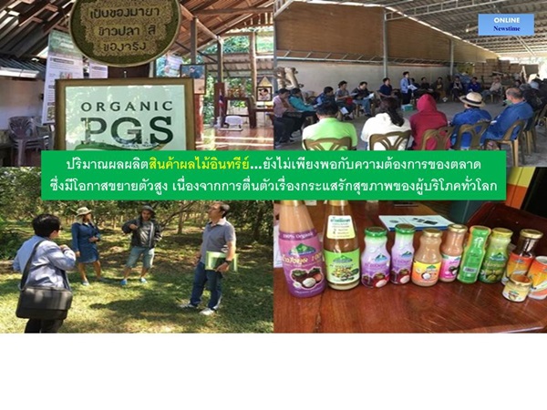 organic thailand1