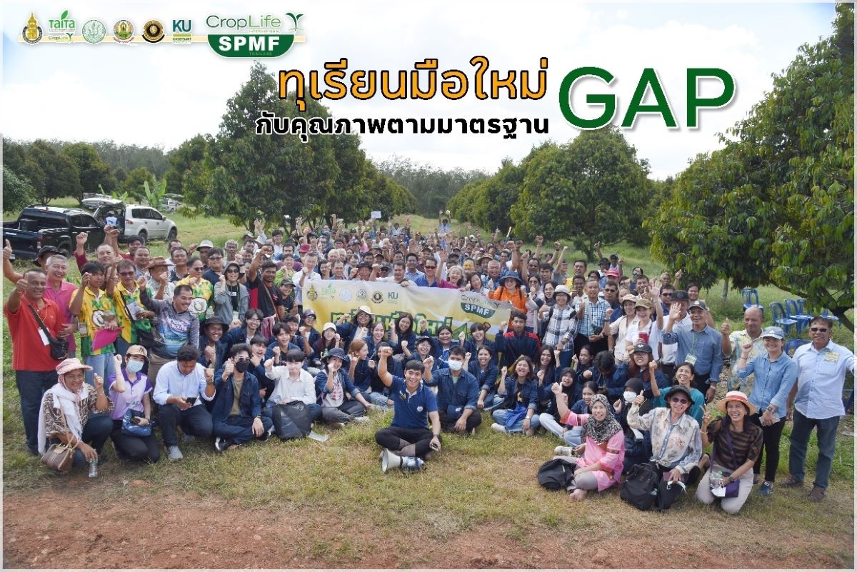 ทุเรียนมือใหม่ GAP